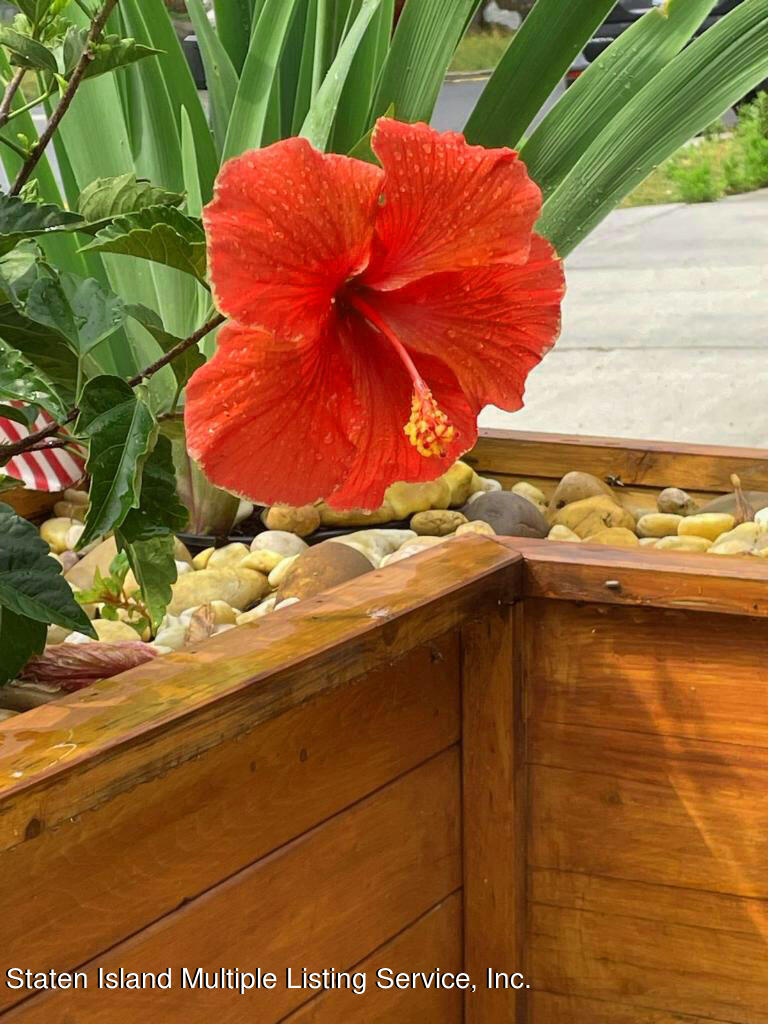 3522 Amboy Road, Unit C Staten Island, NY 10306 - Photo 25 of 32 image000000 3