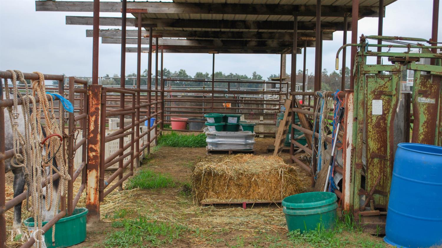 19331 1st Avenue Stevinson, CA 95374 - Photo 11 of 18