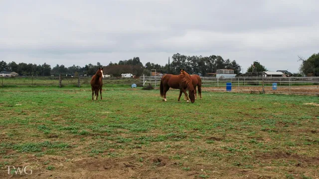 a view of huge green field and trees