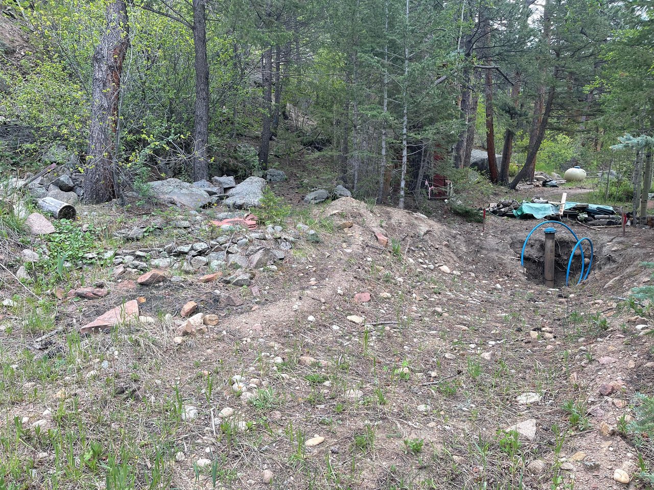 555 Riverside Drive Lyons, CO 80540 - Photo 3 of 3