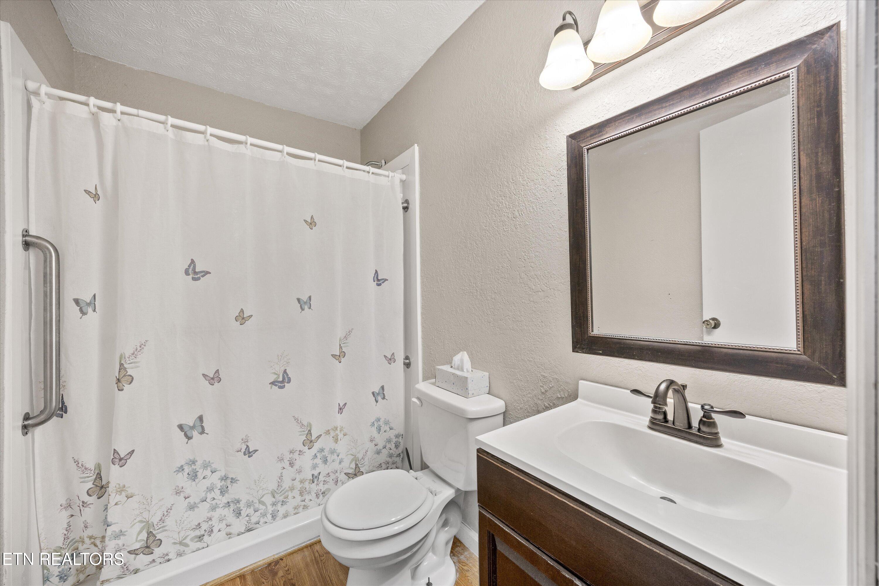 501 Big Sinks Road Sharps Chapel, TN 37866 - Photo 16 of 29 lower level bathroom w walk in shower