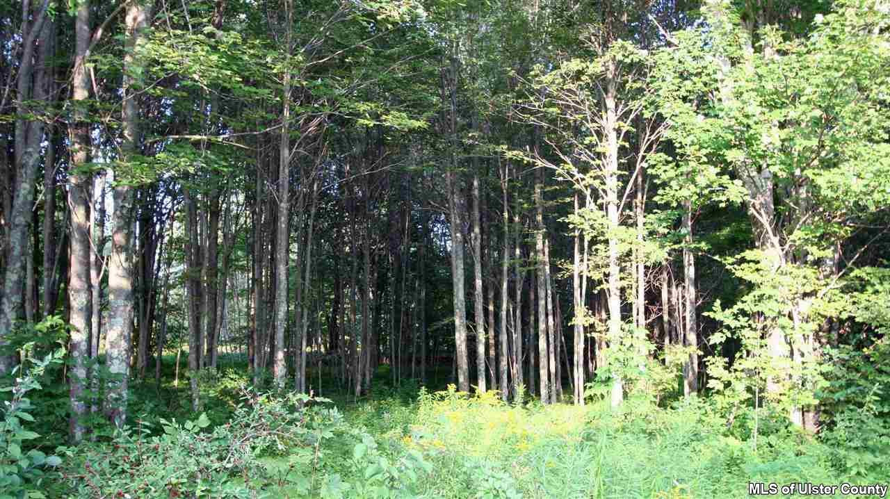1148 Upper Perch Lake Road Andes, NY 13731 - Photo 20 of 20 Photo 20