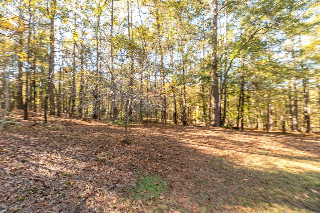 1207 Mack Scott Road Pine Mountain, GA 31822 - Photo 14 of 38 360 degree wooded views!