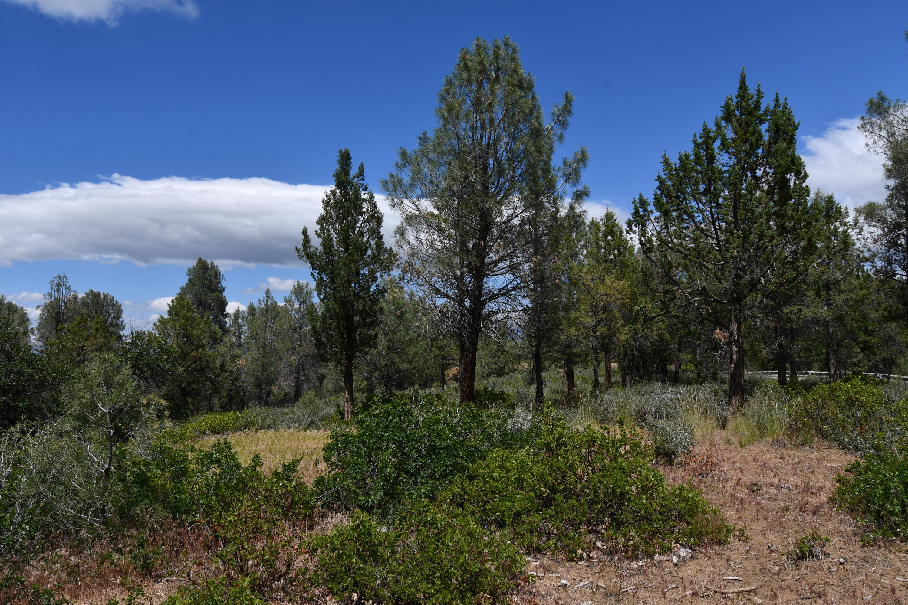 Lot 11 Cassel Fall River Road Fall River Mills, CA 96028 - Photo 11 of 17 a view of a lake with green space