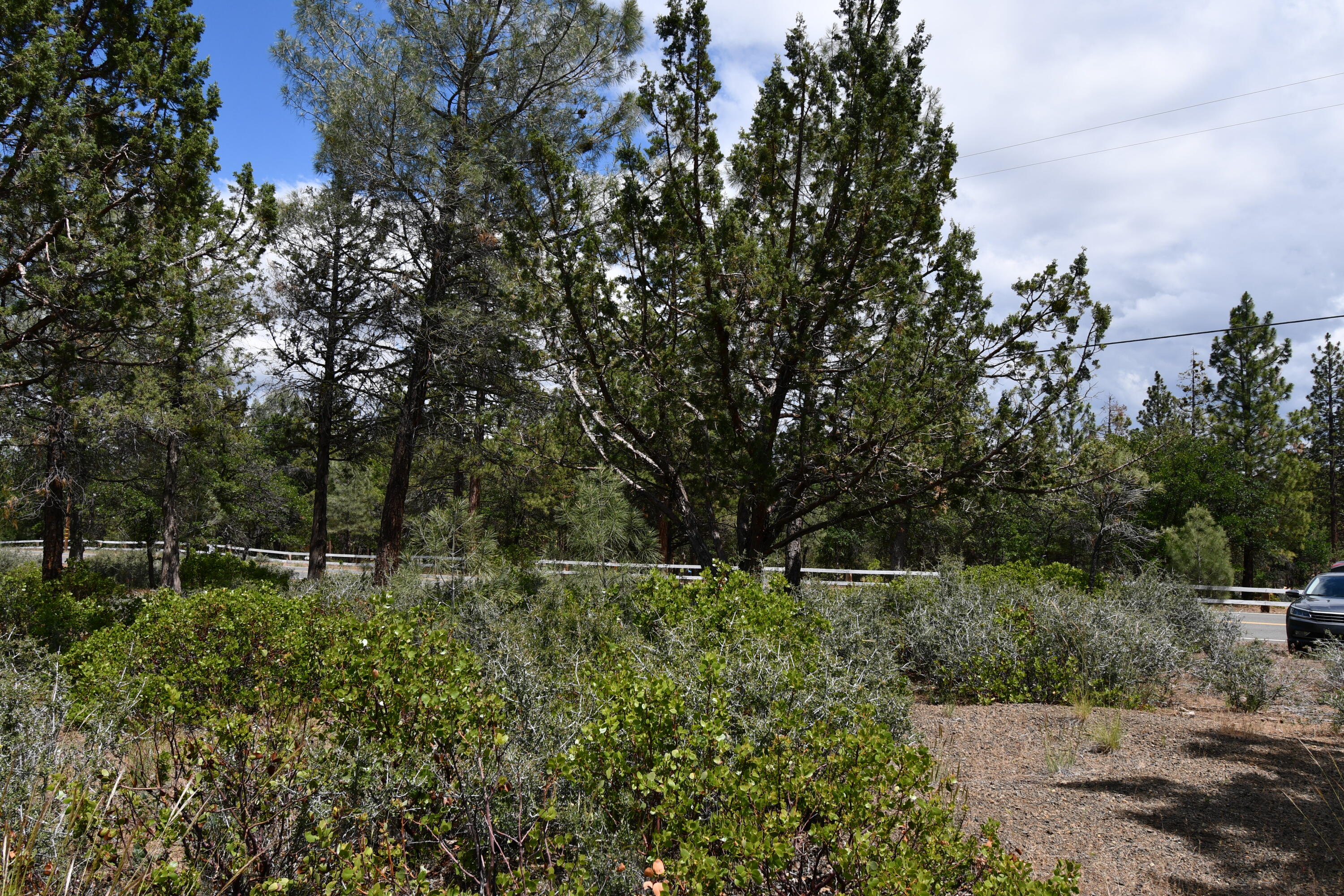 Lot 11 Cassel Fall River Road Fall River Mills, CA 96028 - Photo 13 of 17 a backyard of a house with lots of green space