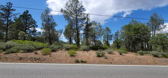 a view of a yard with a tree