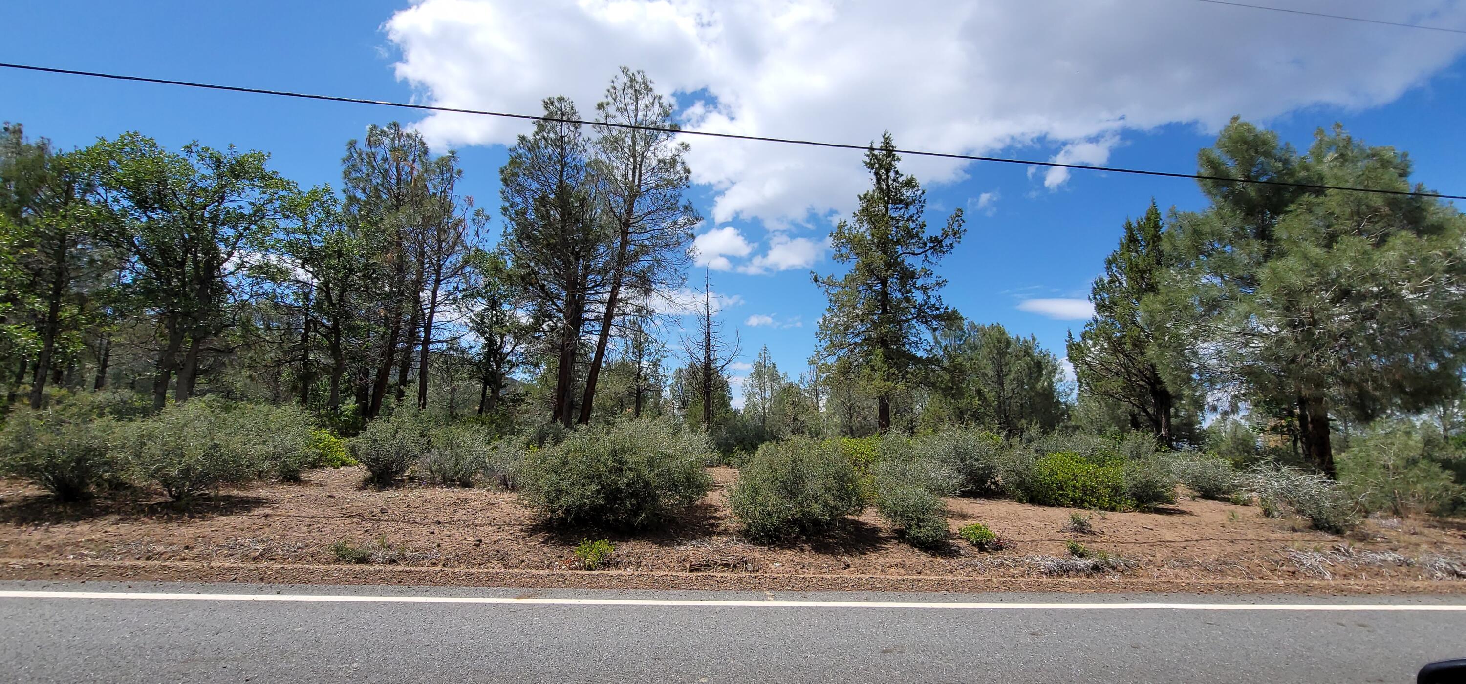 Lot 11 Cassel Fall River Road Fall River Mills, CA 96028 - Photo 4 of 17 a view of a street