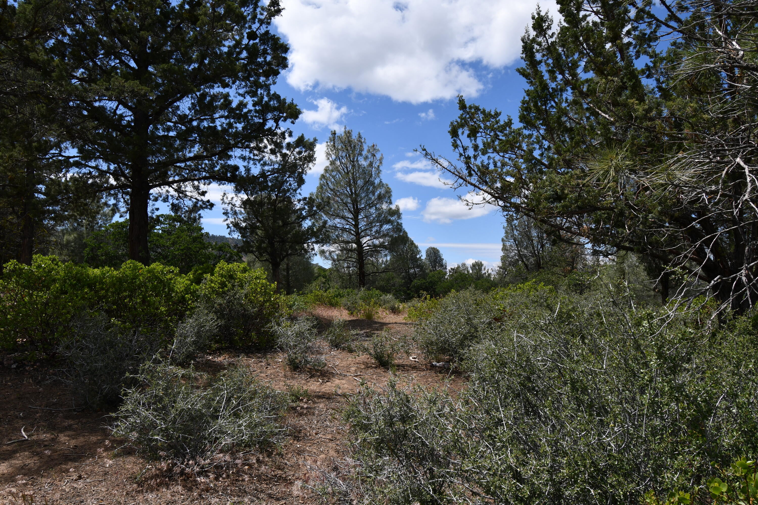 Lot 11 Cassel Fall River Road Fall River Mills, CA 96028 - Photo 5 of 17 a view of a house with a yard
