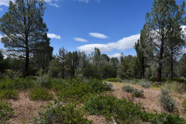 a view of a city with lush green forest
