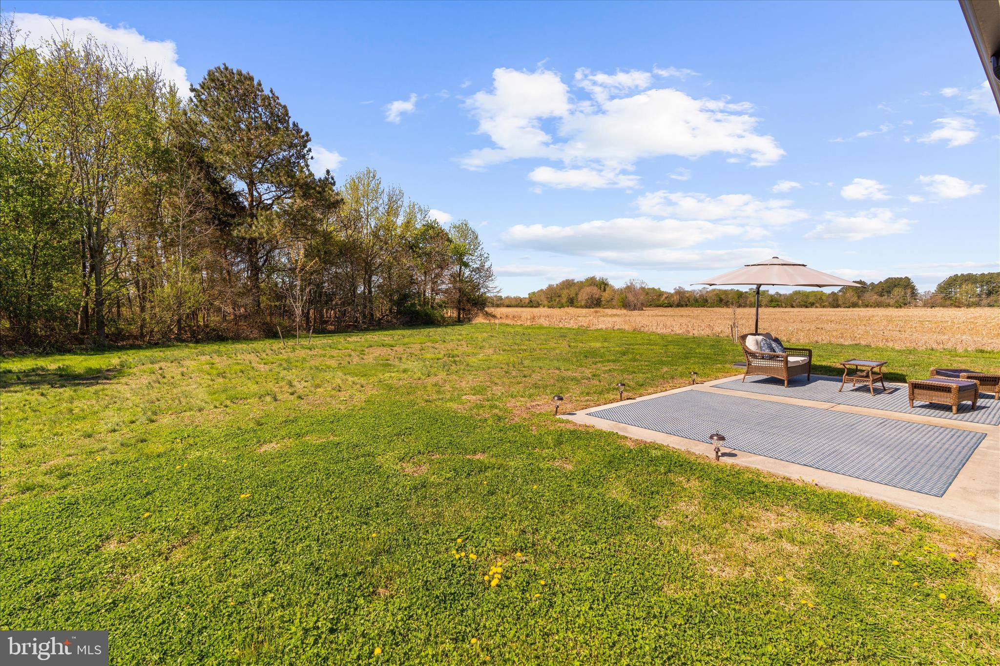 2265 Jenkins Creek Road Cambridge, MD 21613 - Photo 45 of 64