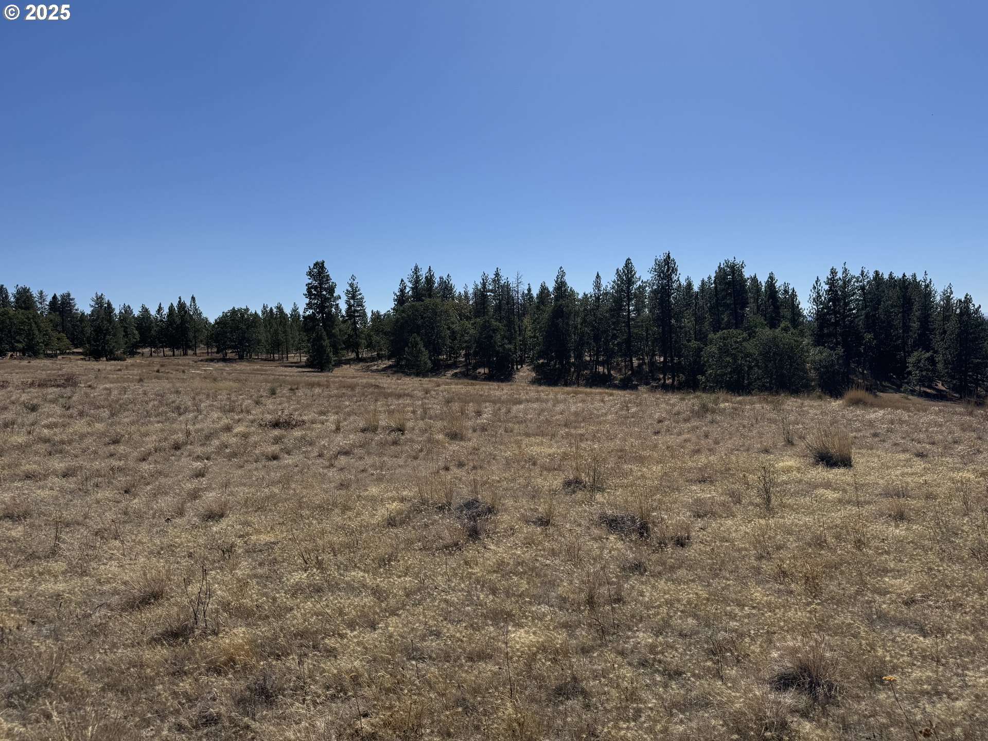 Nka Tegan Road Goldendale, WA 98620 - Photo 5 of 18 Gallery Image 5