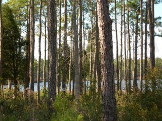 74 Bailey Pointe Road Belhaven, NC 27810 - Photo 1 of 1 Primary Photo