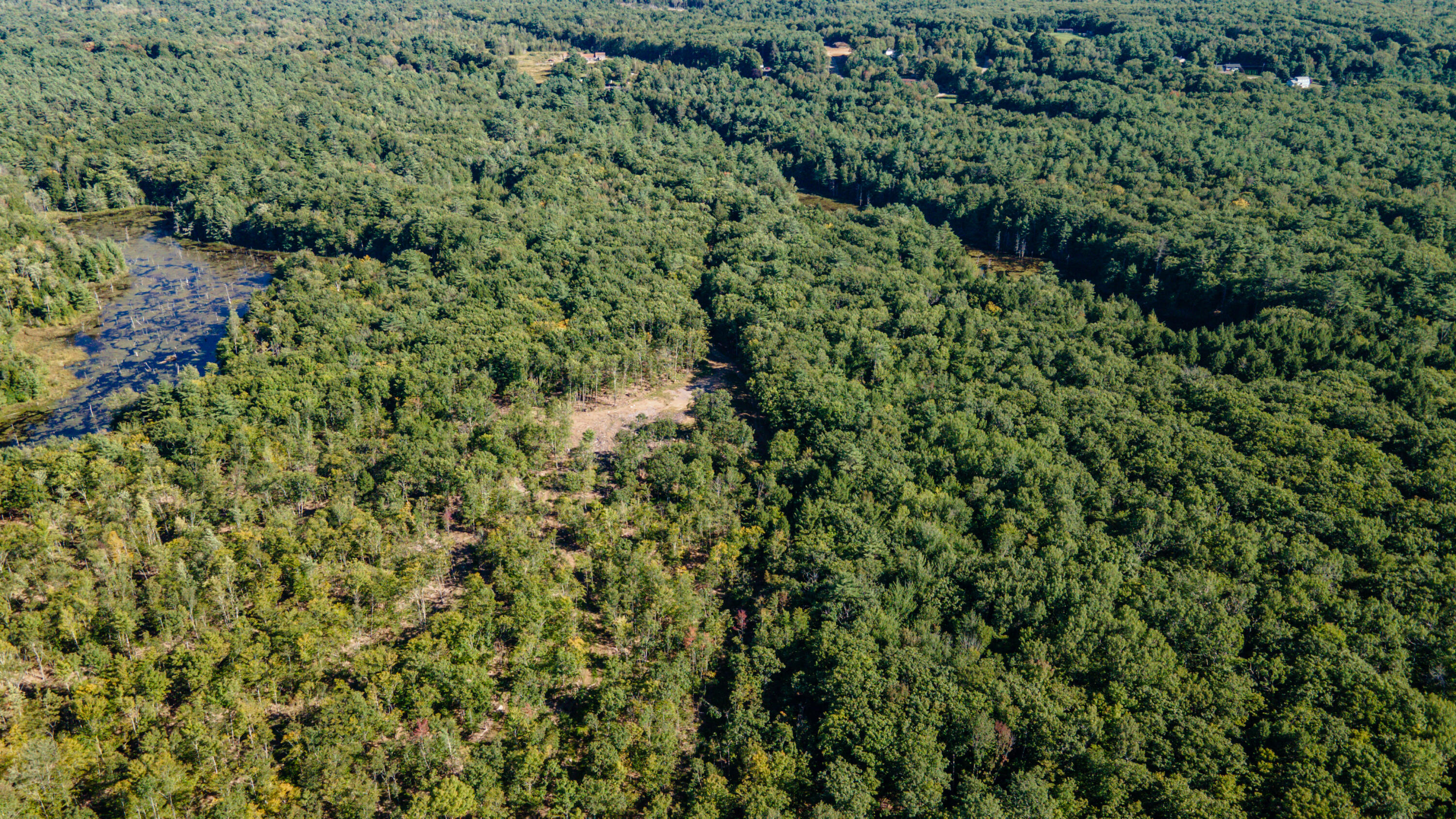 497 Litchfield Road Farmingdale, ME 04344 - Photo 13 of 15 Land9
