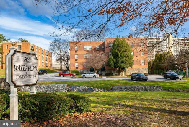 a view of a park with large trees