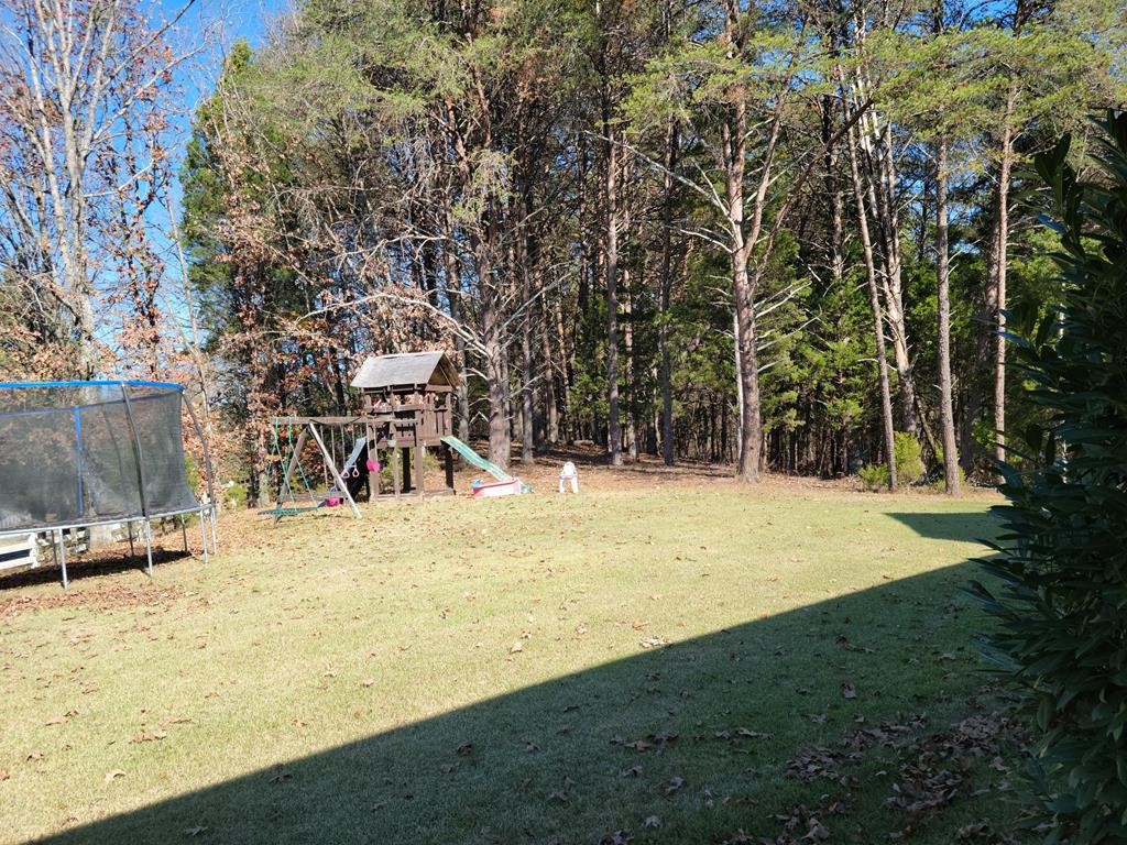 879 Pin Hook Road Spring City, TN 37381 - Photo 51 of 53 Gallery Image 51