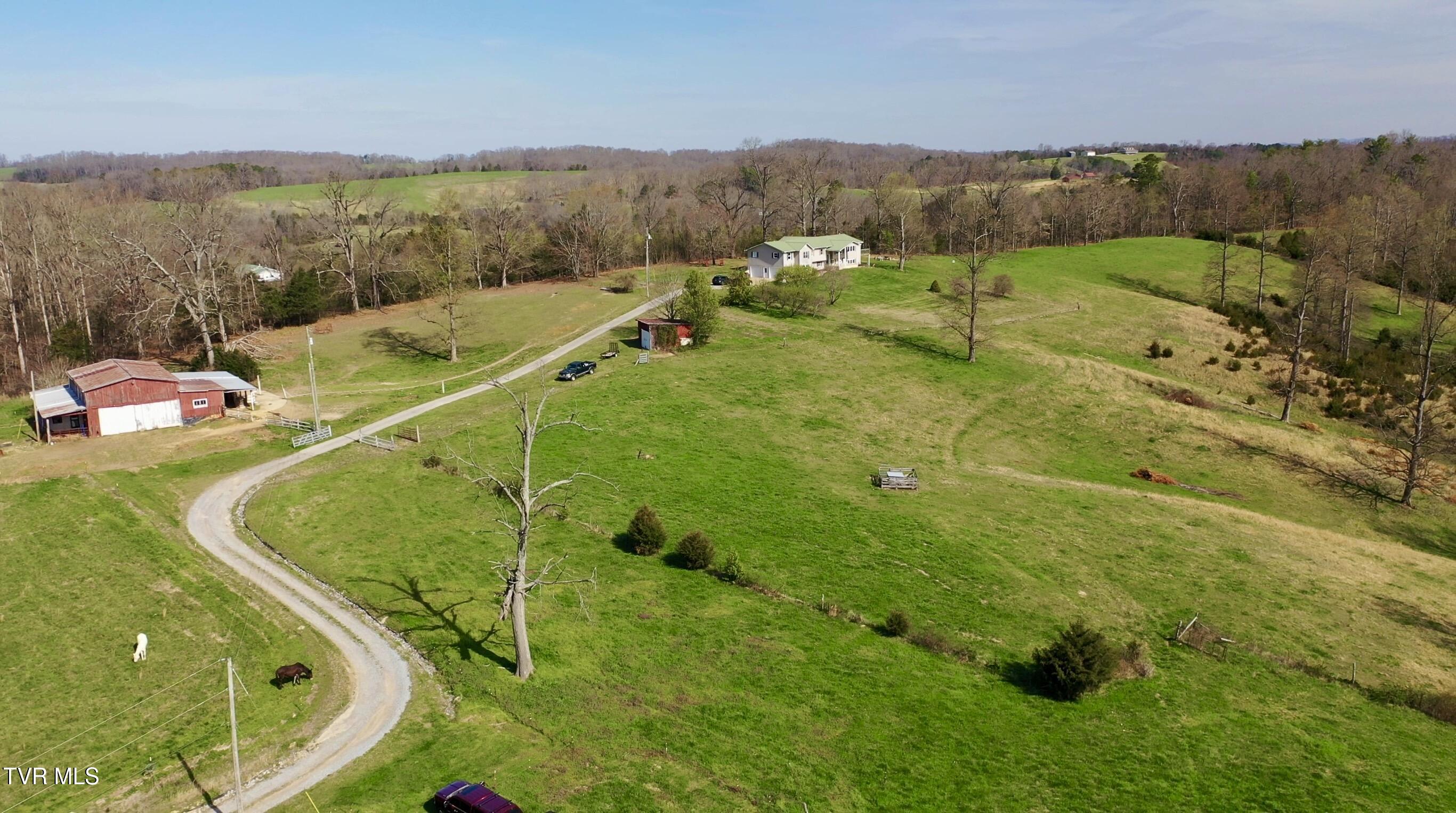 6181 Poplar Springs Road Greeneville, TN 37743 - Photo 100 of 103 IMG_6919 (1)