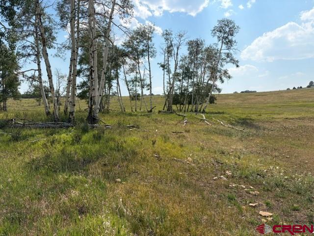 Lot H M44 Road Norwood, CO 81430 - Photo 10 of 22 Gallery Image 10