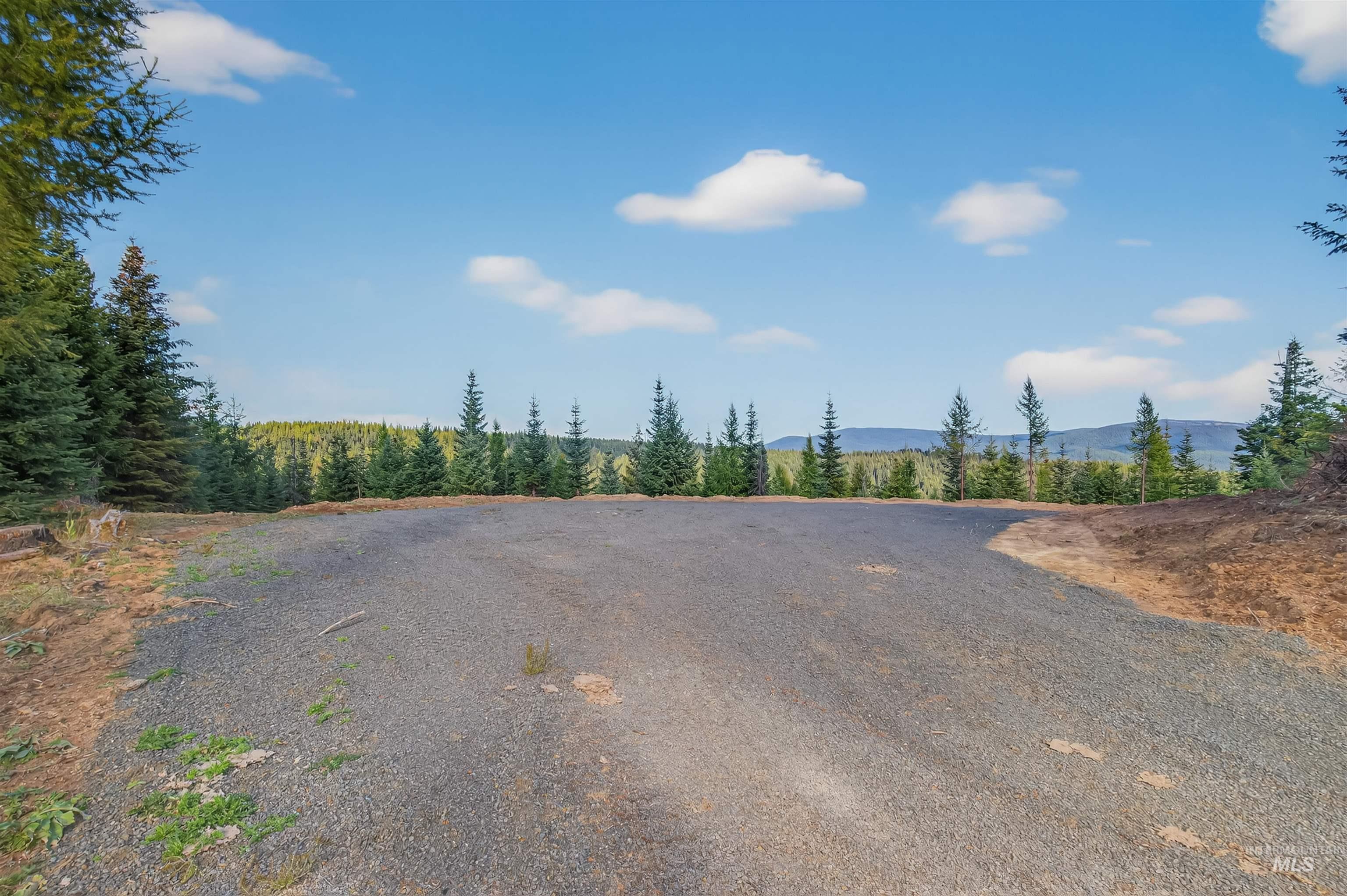 9 Tree Farm Trails Road Elk City, ID 83525 - Photo 14 of 14 View of dirt / gravel road with a mountain view