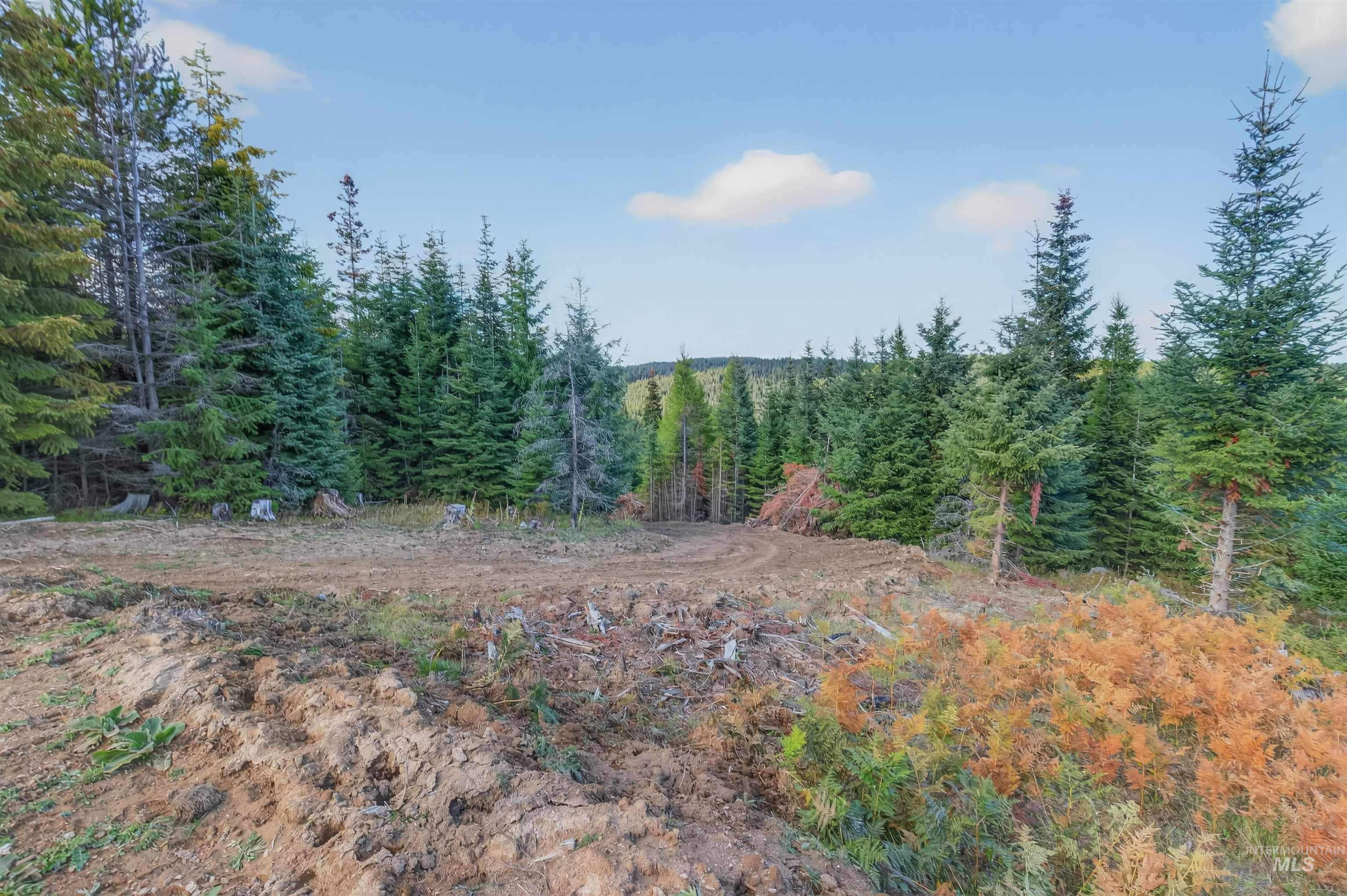 9 Tree Farm Trails Road Elk City, ID 83525 - Photo 4 of 14 View of wooded area