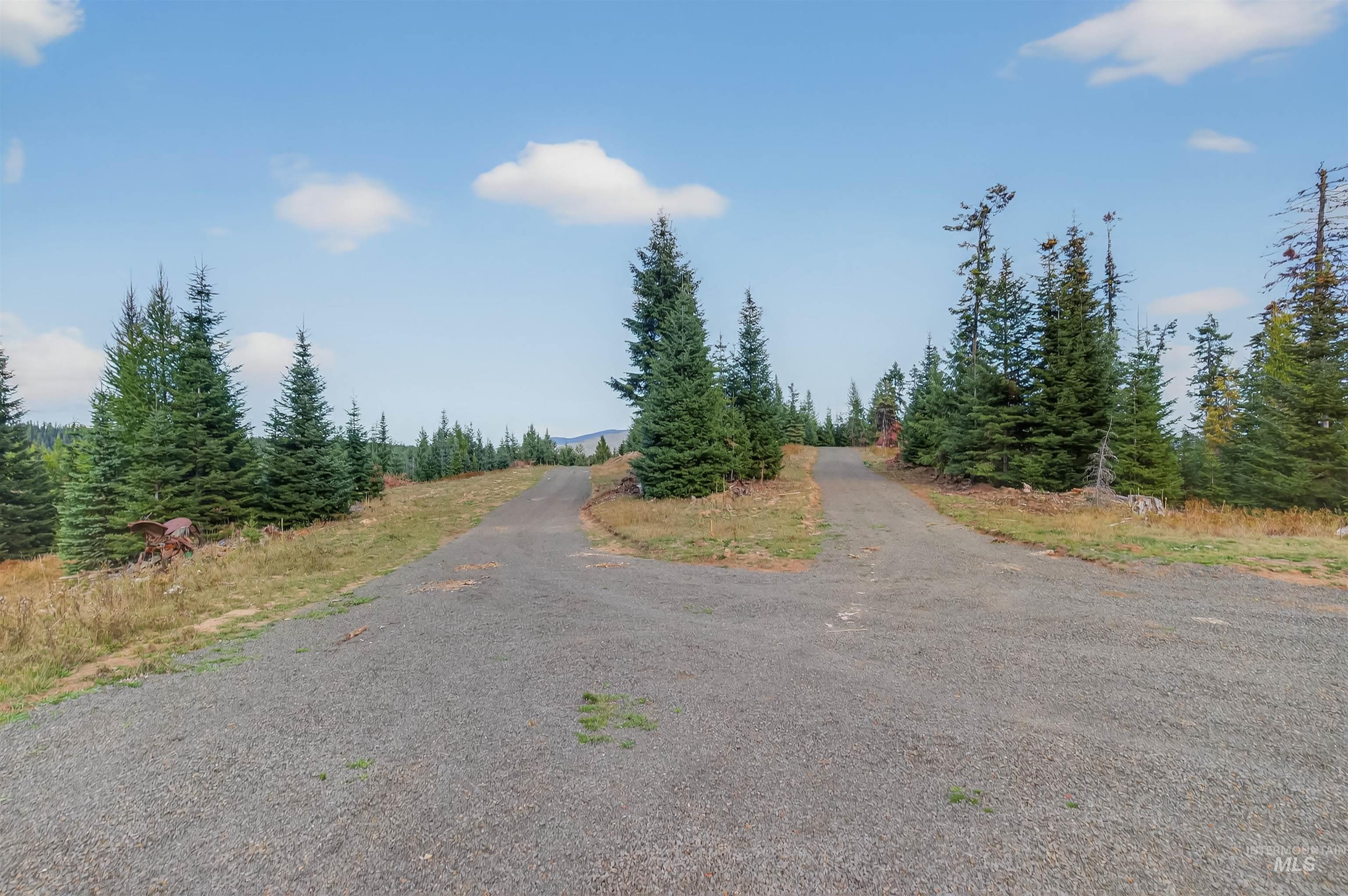 9 Tree Farm Trails Road Elk City, ID 83525 - Photo 8 of 14 View of road