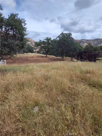 a view of a field with trees in background