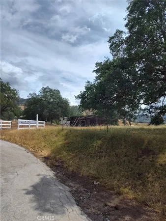a view of a field with trees