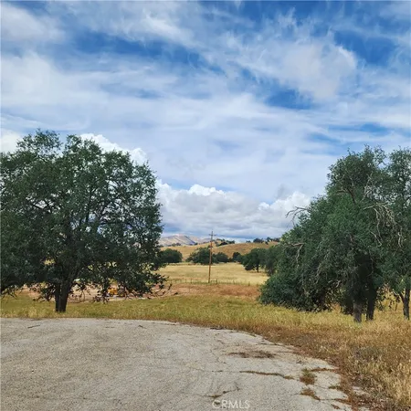 a view of a yard with an trees