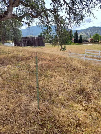 a view of a yard with plants and trees