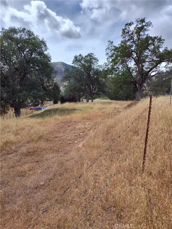 a view of a yard with a tree