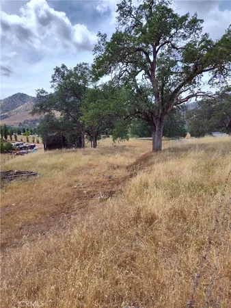 a view of dirt yard with a large tree