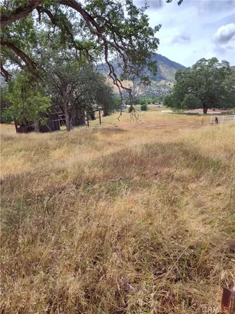 a view of dirt yard with a tree