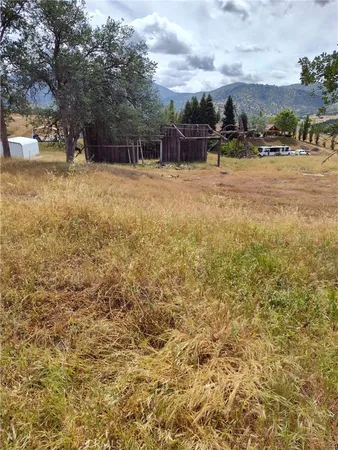 a view of yard with trees