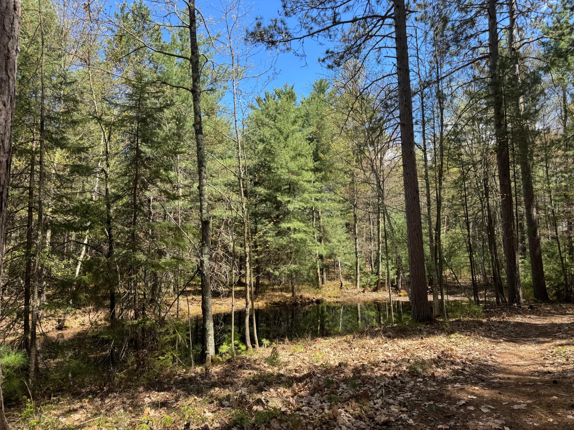 8522 Camp Pinemere Road Minocqua, WI 54548 - Photo 12 of 25 Gallery Image 12