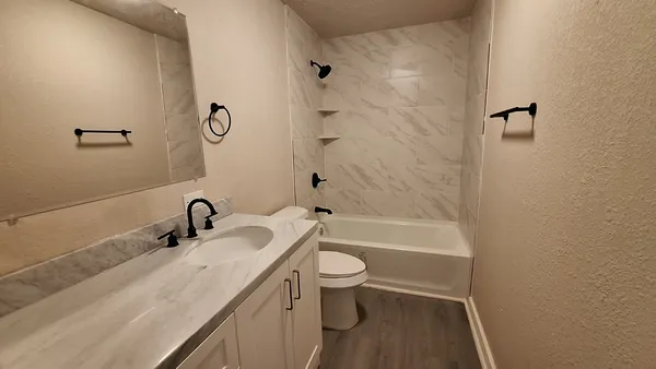 a view of a yard with plants and a large tree