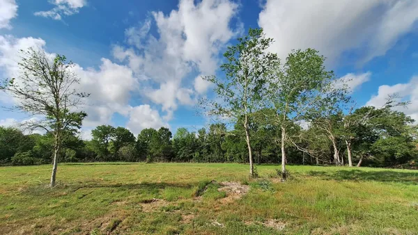 $299,000 | 1284 Beaver Lake Drive, Caldwell, TX 77836