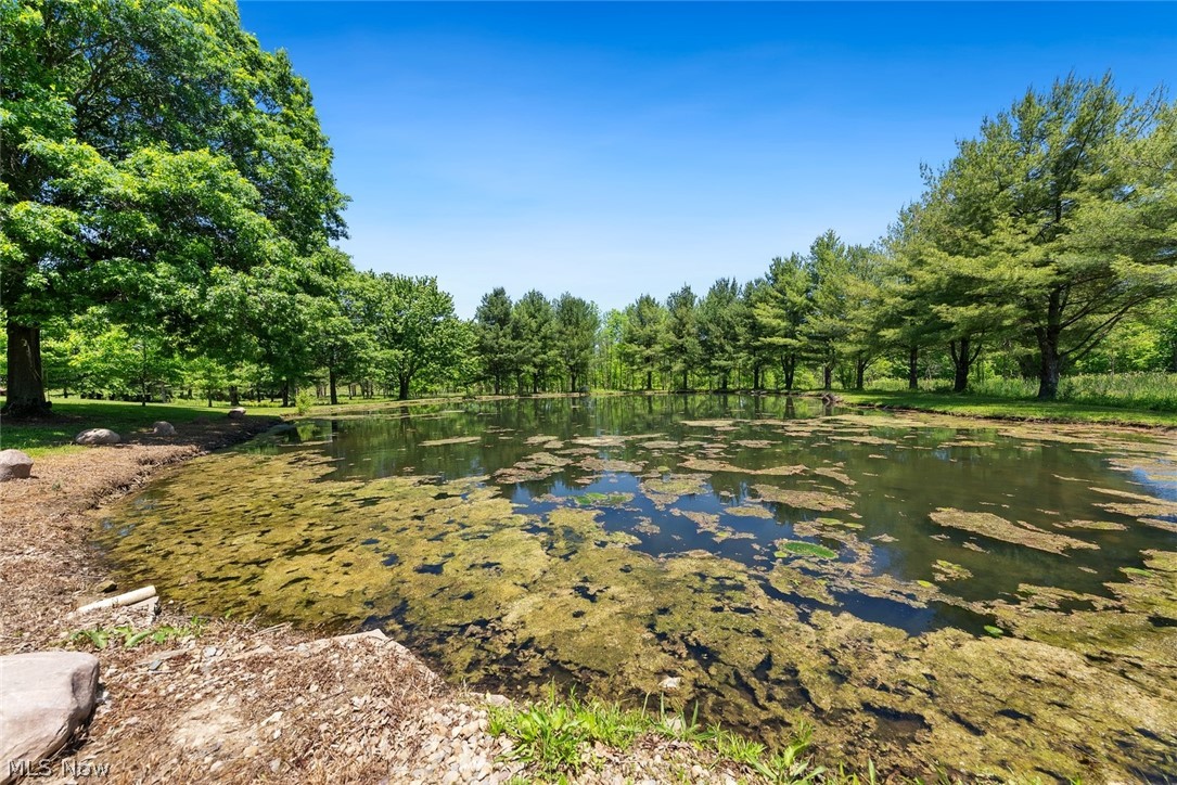 3190 Fixler Road Medina, OH 44256 - Photo 42 of 46