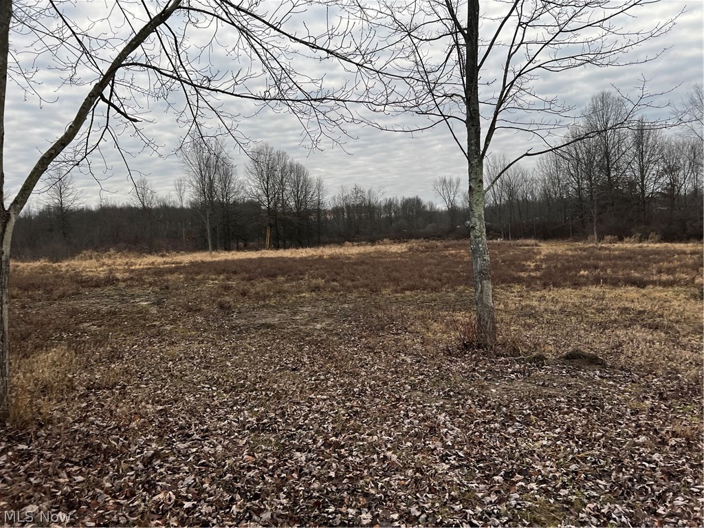 10016 Cable Line Road Newton Falls, OH 44444 - Photo 17 of 29