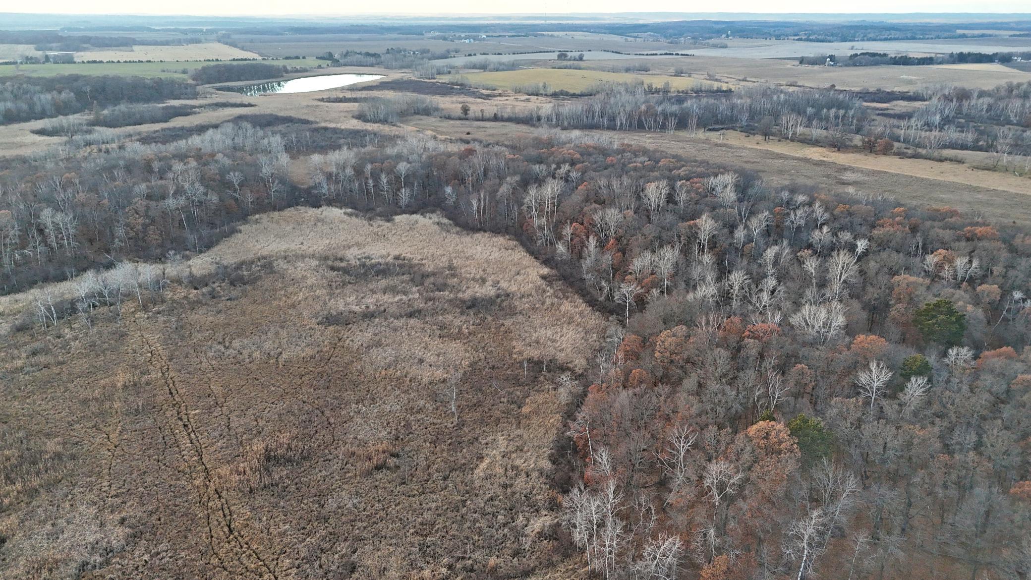 26-xxx 175th Avenue Fort Ripley, MN 56449 - Photo 21 of 46