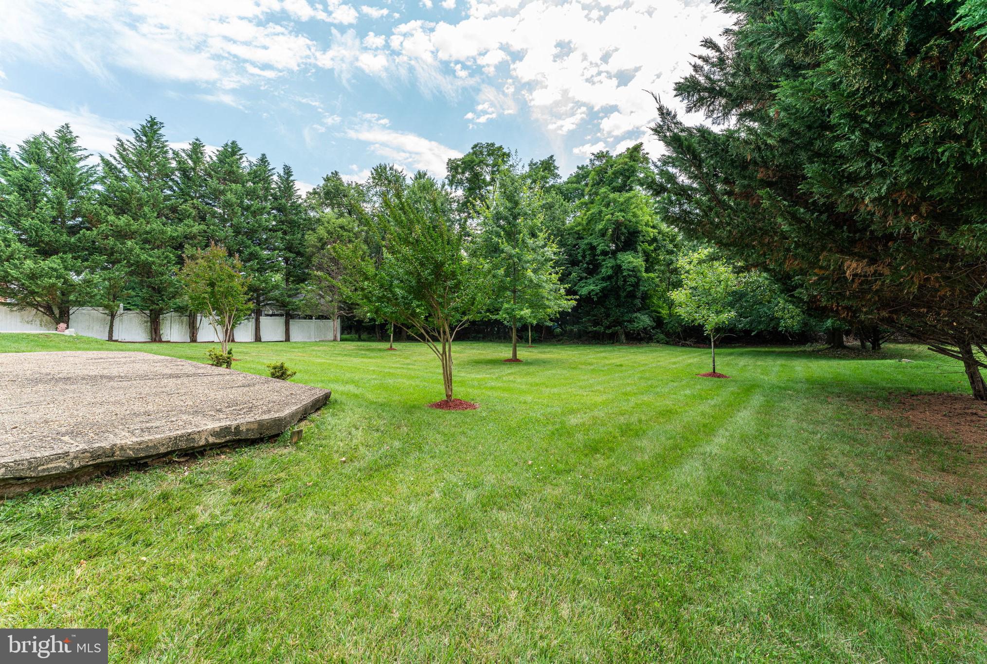 4011 Holly Tree Road Temple Hills, MD 20748 - Photo 42 of 62 Rear Yard