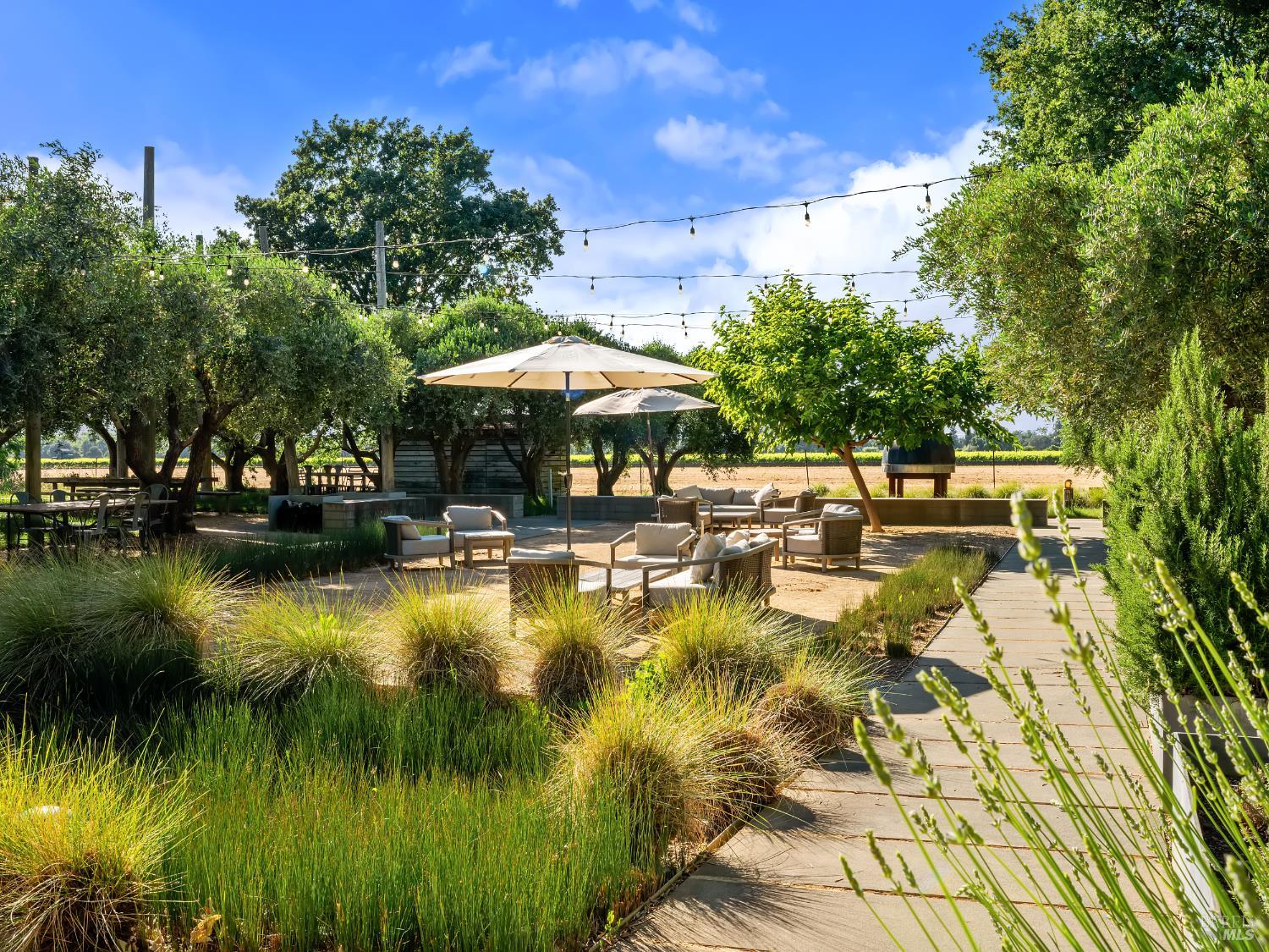 3487 Alexander Valley Road Geyserville, CA 95441 - Photo 50 of 54