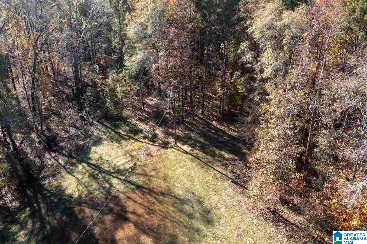 481 Highway 45 Sterrett, AL 35147 - Photo 37 of 41