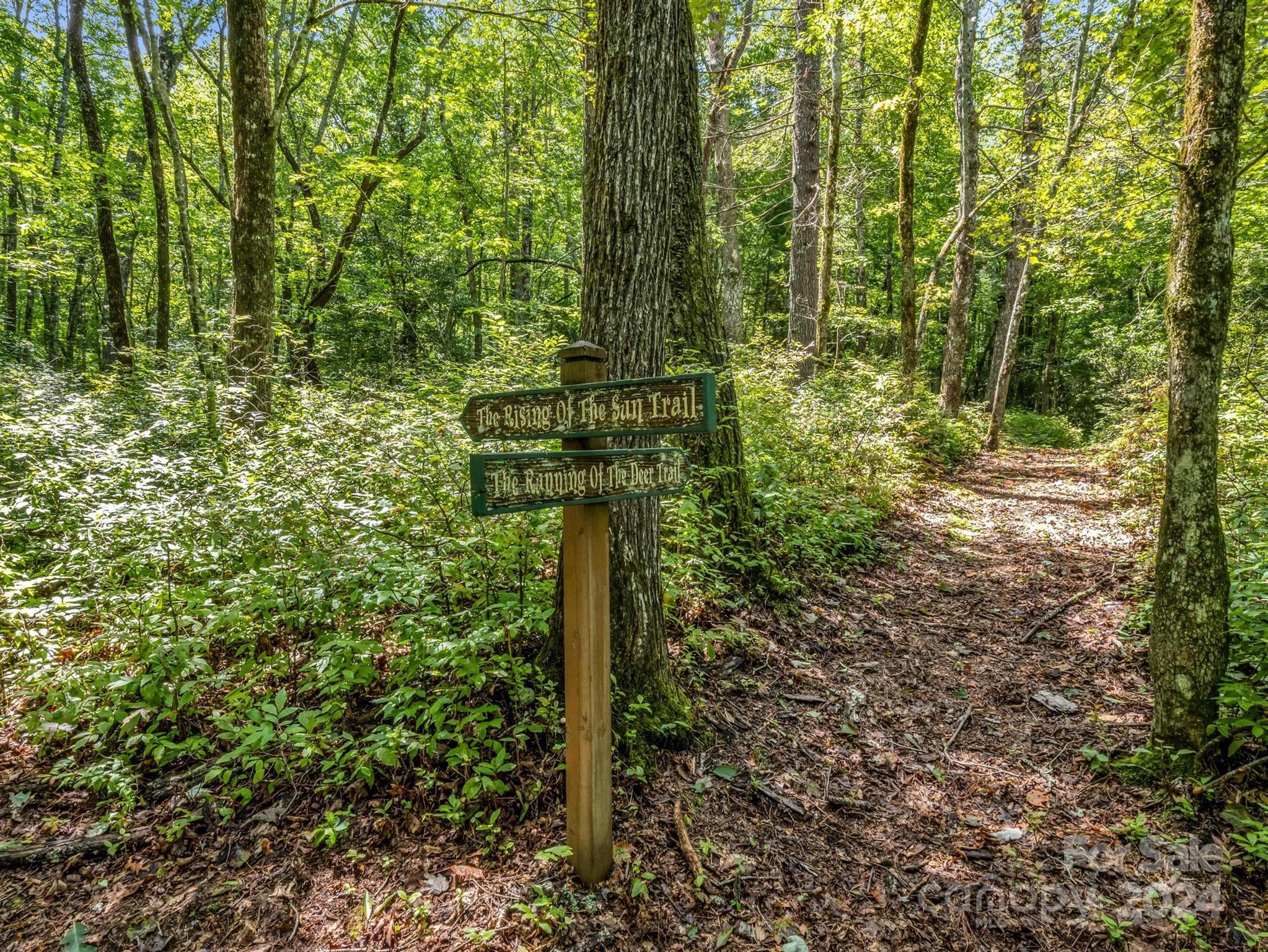 521 Oriole Road Brevard, NC 28712 - Photo 34 of 39 Gallery Image 34