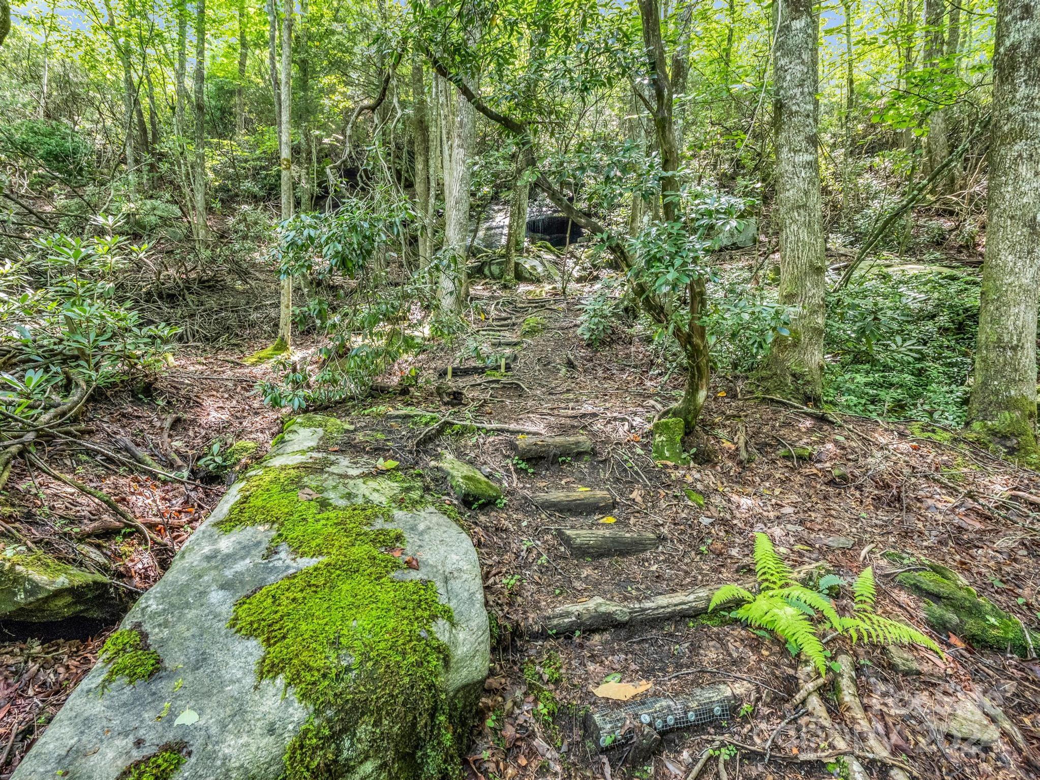 521 Oriole Road Brevard, NC 28712 - Photo 37 of 39 Gallery Image 37