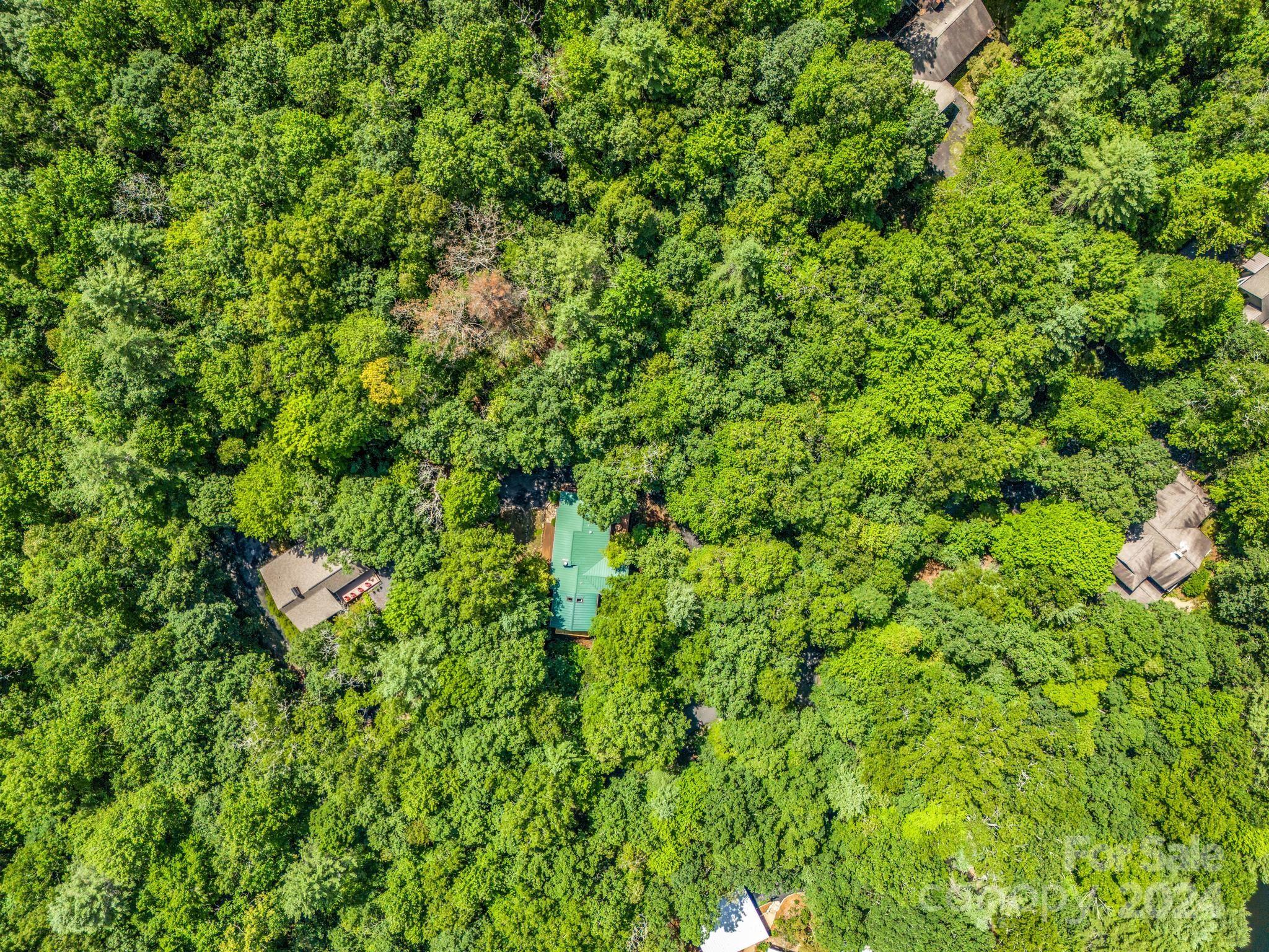 521 Oriole Road Brevard, NC 28712 - Photo 7 of 39 Gallery Image 7