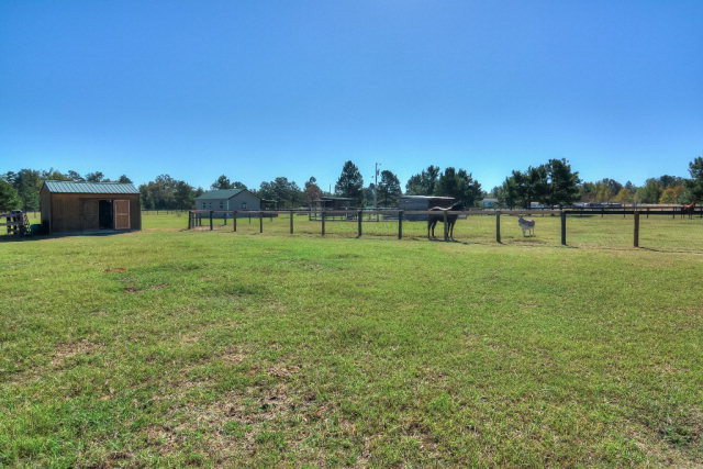 1224 Weeks Road Williston, SC 29853 - Photo 16 of 21