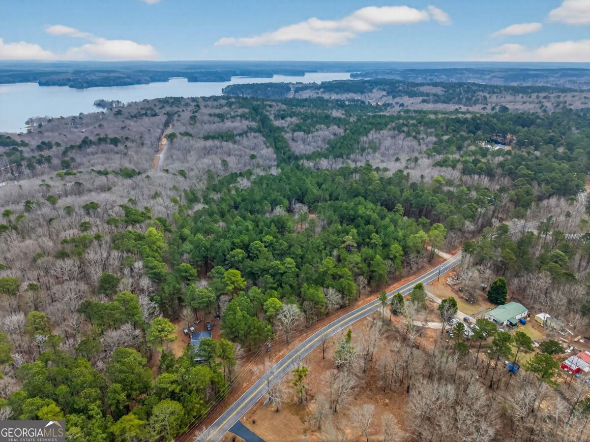 251 Winding River Road Eatonton, GA 31024 - Photo 11 of 15 a view of a forest with a forest