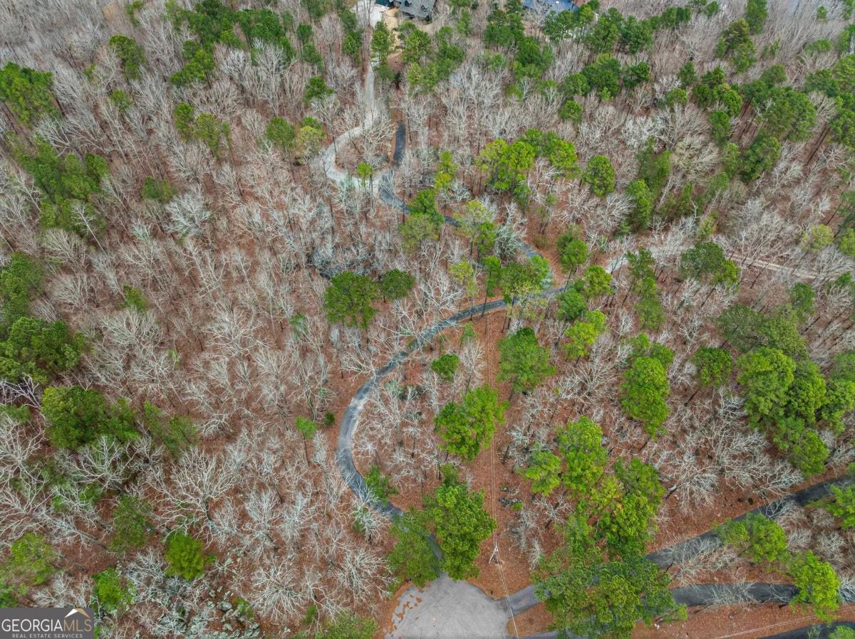 251 Winding River Road Eatonton, GA 31024 - Photo 14 of 15 a backyard of a house with lots of trees