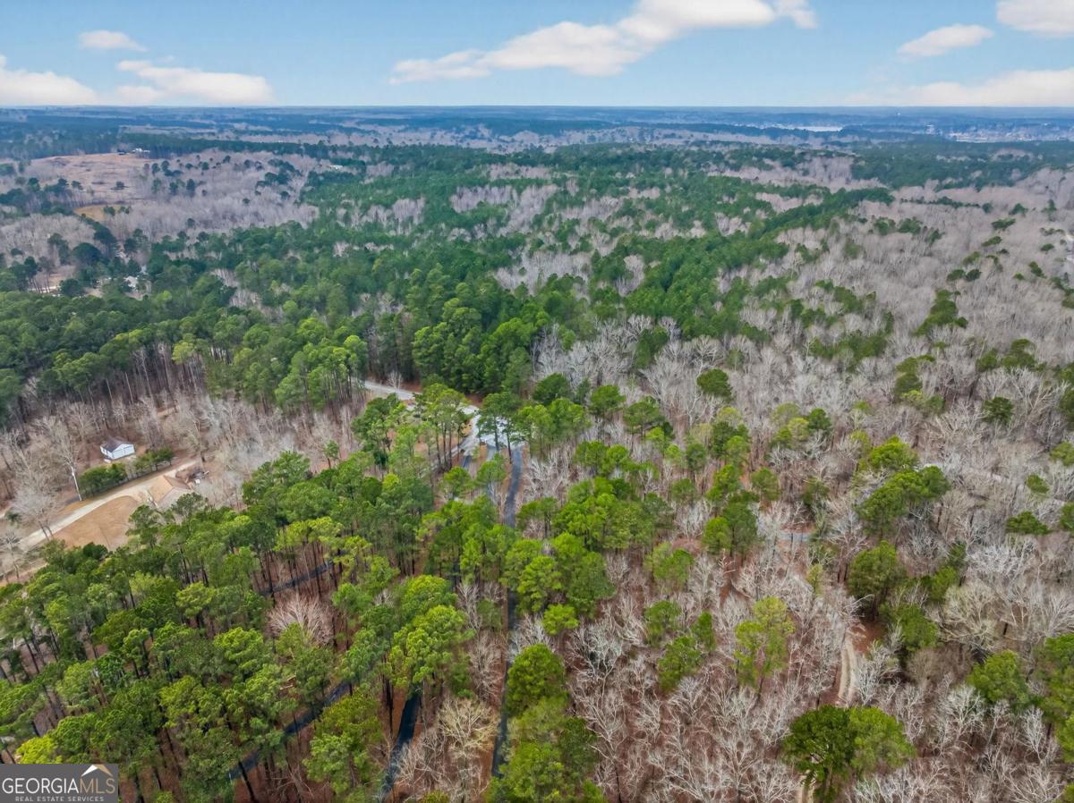 251 Winding River Road Eatonton, GA 31024 - Photo 15 of 15 an aerial view of a houses with a yard