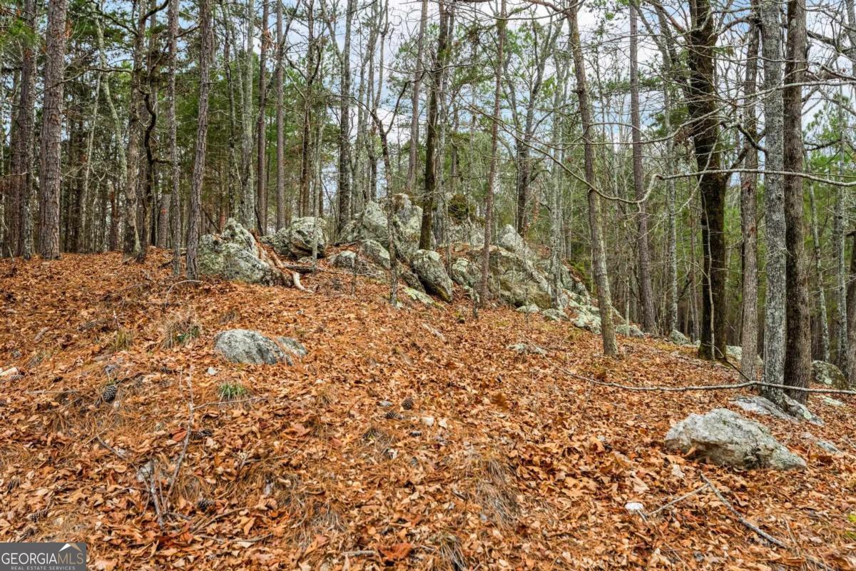 251 Winding River Road Eatonton, GA 31024 - Photo 2 of 15 a view of a yard with trees
