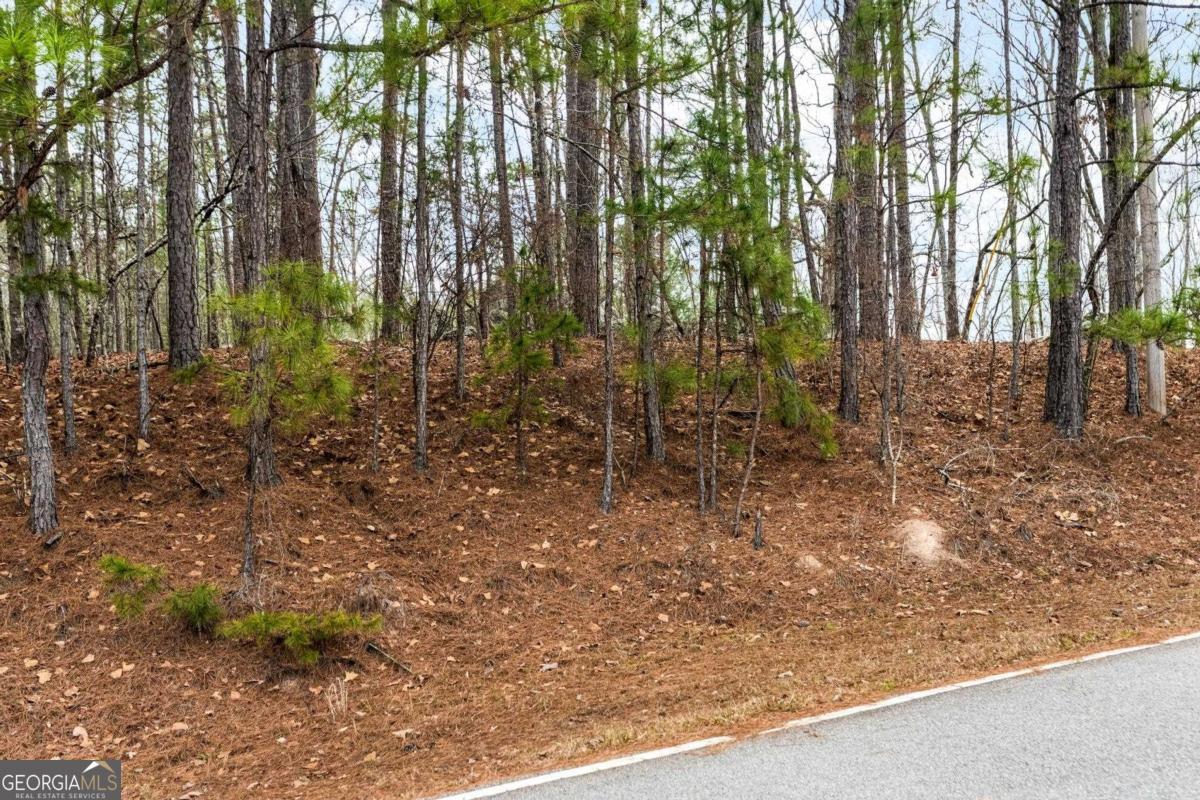 251 Winding River Road Eatonton, GA 31024 - Photo 4 of 15 a view of a yard with large trees